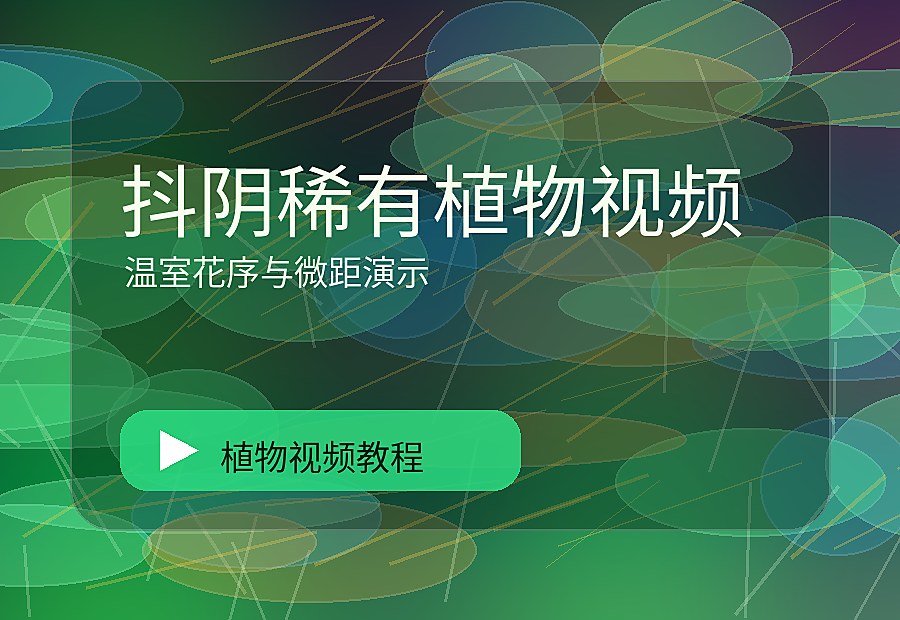 草路自然